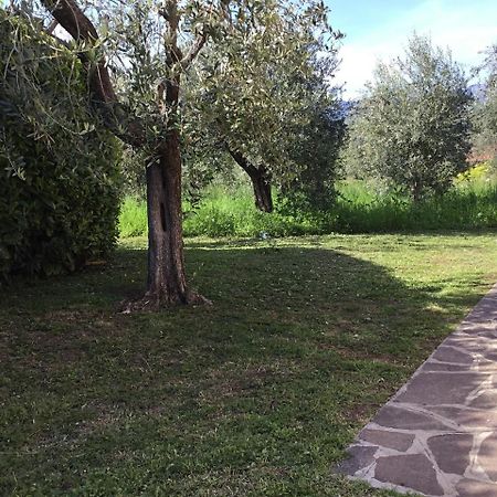 Bio Forester Villa Manerba del Garda Bagian luar foto