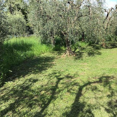 Bio Forester Manerba del Garda Bagian luar foto