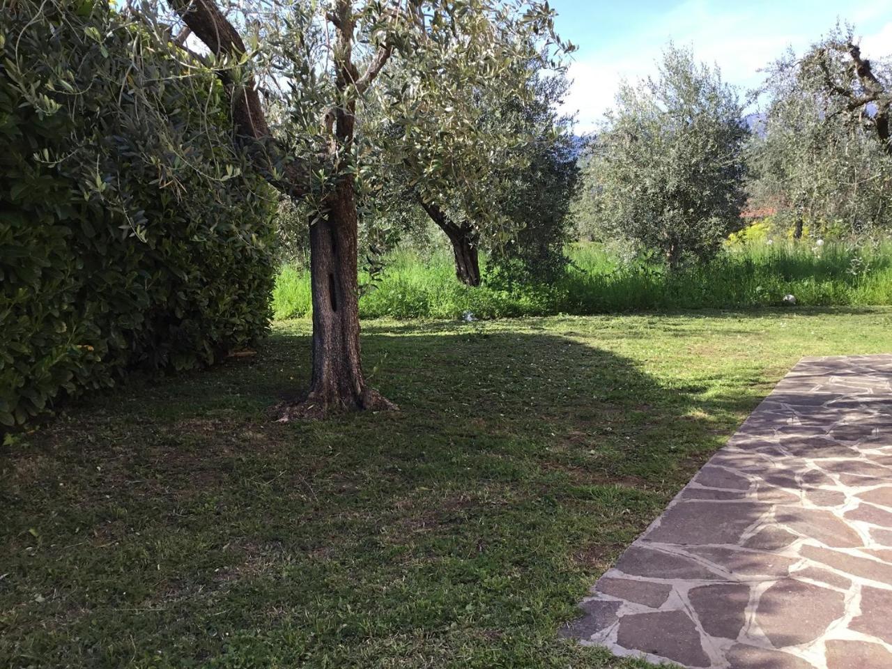 Bio Forester Manerba del Garda Bagian luar foto