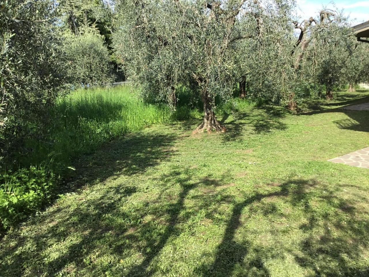 Bio Forester Manerba del Garda Bagian luar foto
