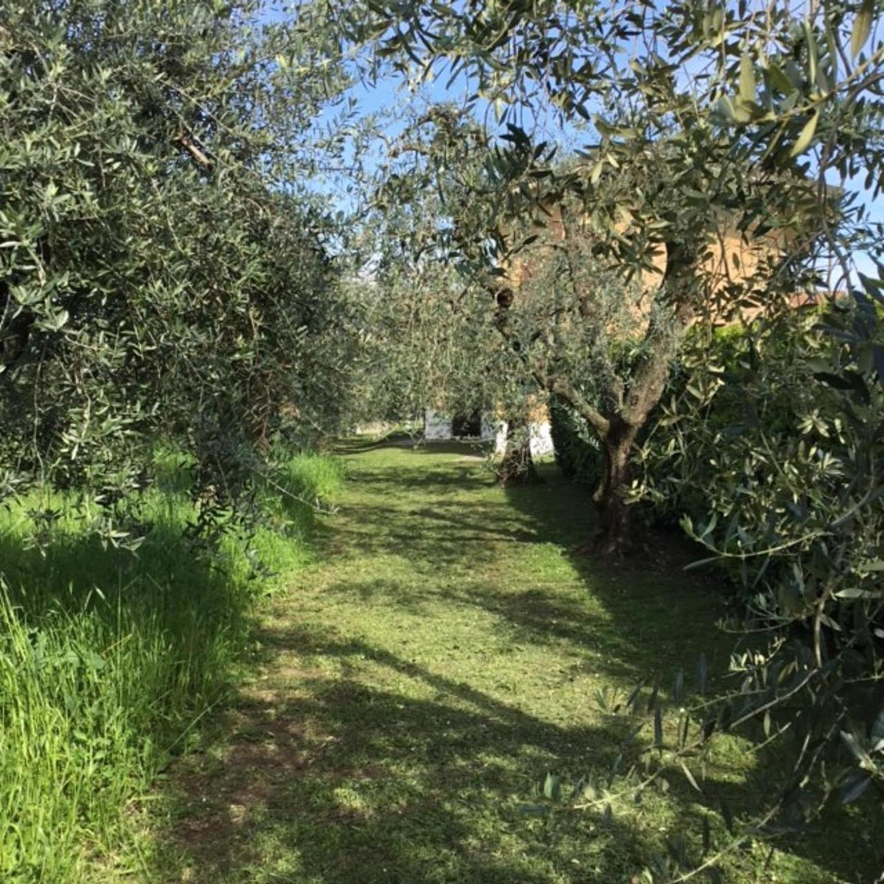 Bio Forester Villa Manerba del Garda Bagian luar foto